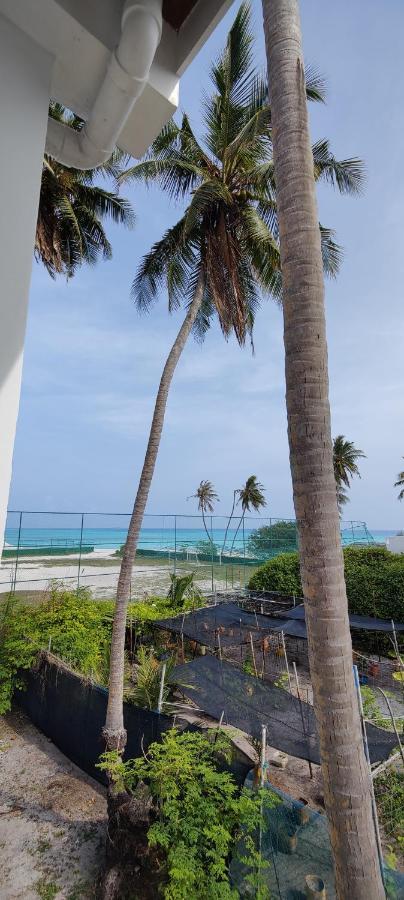 Cowry Inn Fulidhoo Zewnętrze zdjęcie